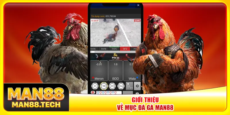 Giới thiệu về mục đá gà Man88